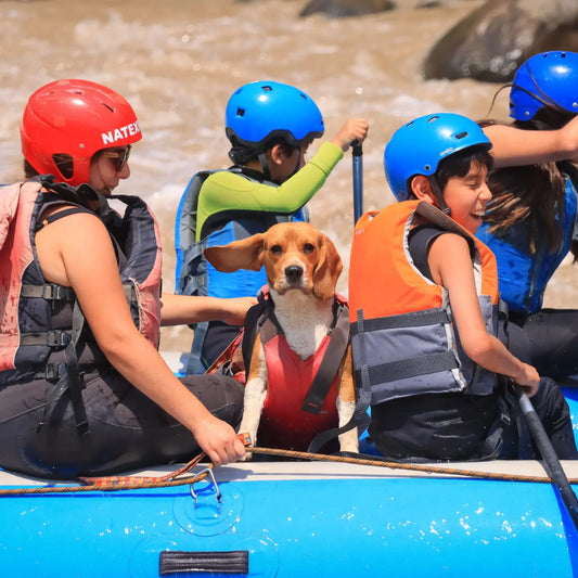 Rafting Petfriendly