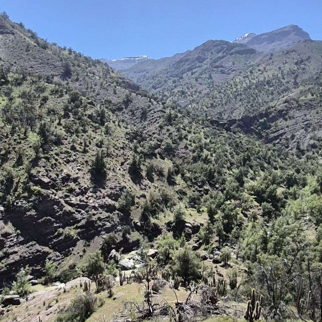 Canyoning + Toboganes